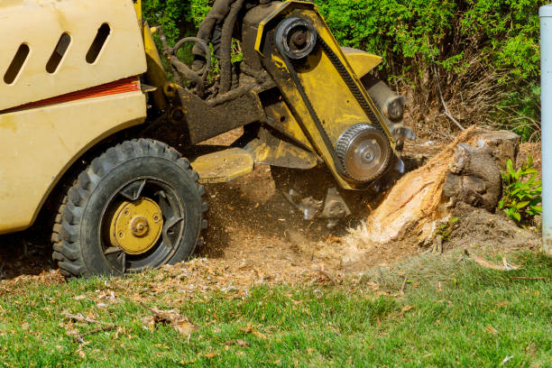 Lawn Grading and Leveling in Fort Worth, TX